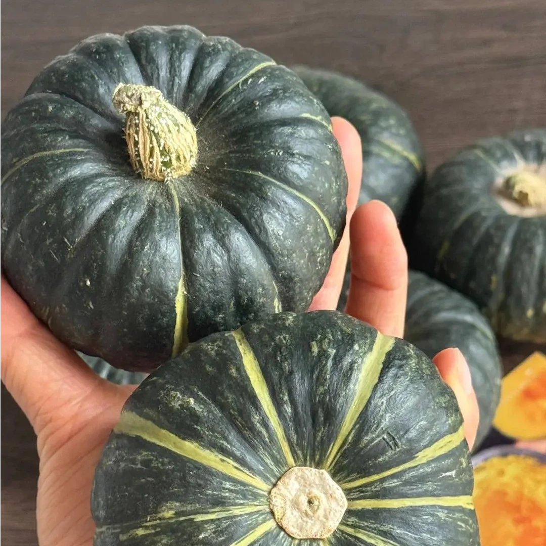 正宗板栗味贝贝南瓜新鲜粉糯香甜可作辅食