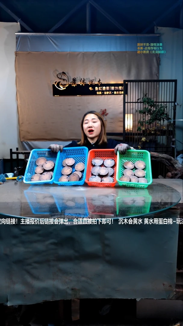 【闪购商品】景沐沉木B866景沐沉木B866