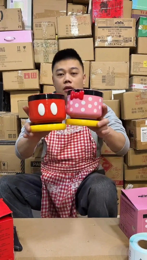 【闪购商品】杯原盒米奇米妮花盆2件套