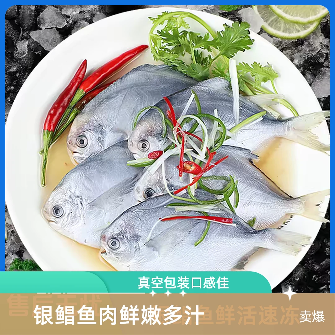 蓝色海域银鲳鱼海鲜350g/袋8条鲜活速冻去腮去内脏免处理真空包装炸鱼