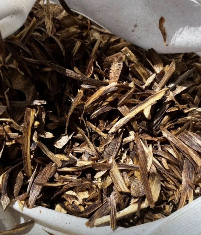 《钟鼎沉香》海南老白棋树心油虫漏第四道勾丝（枕头同款）多样性发1