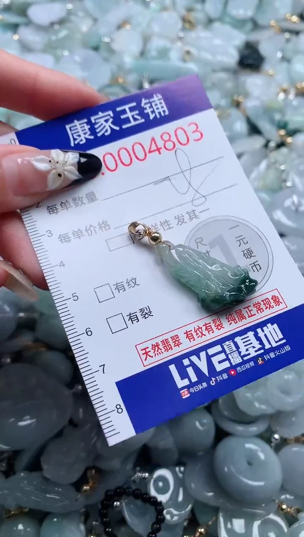 颈饰未镶嵌翡翠4803