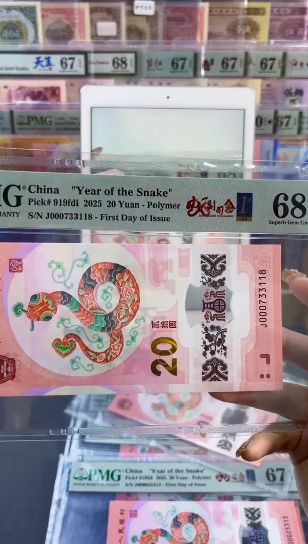 【闪购商品】塑料蛇副司令首日标 PMG68分尾118