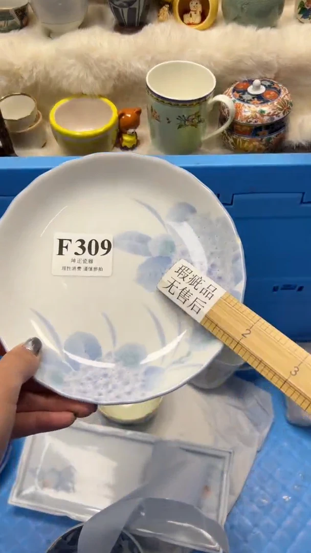 【闪购商品】瓷片          F309