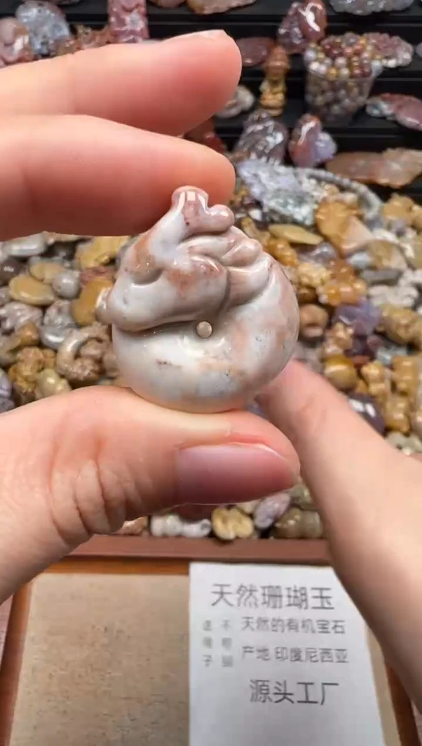 【闪购商品】硅化珊瑚（珊瑚玉）颈饰未镶嵌420