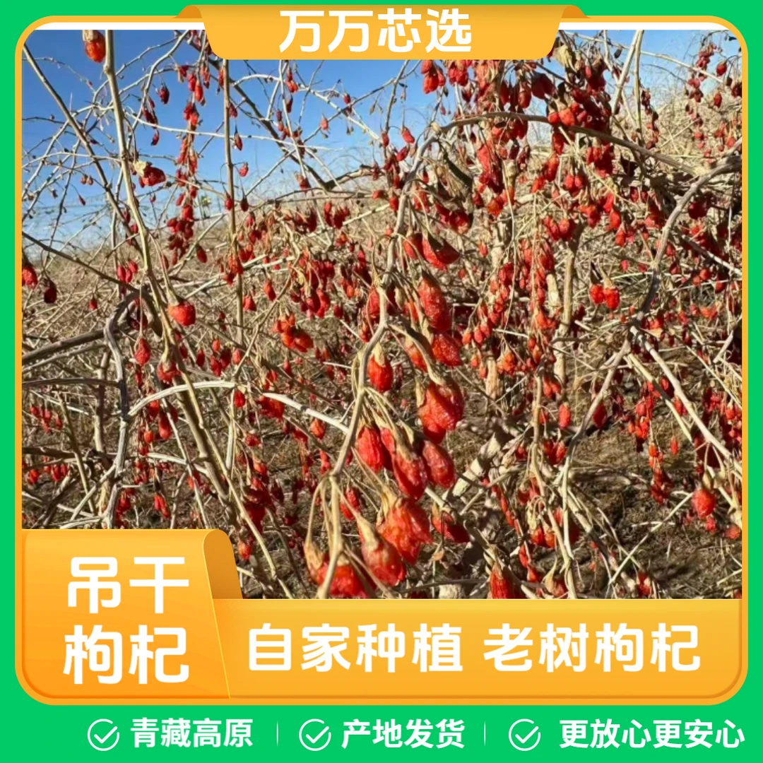 25年 吊干丑枸杞  青海柴达木红枸杞 0熏0染自然晾晒颗粒饱满