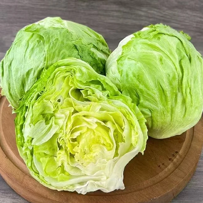 【西生菜500-600±5g】绿色蔬菜绿叶菜球生菜圆生菜生食凉拌火锅乌鲁木齐直发京东次日达