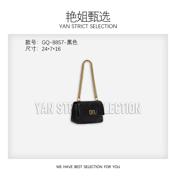 【艳姐甄选】GQ-8857-黑色-轻奢时尚百搭新款女包