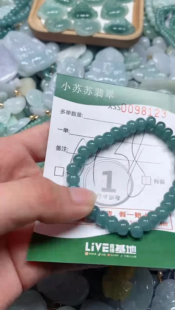 【闪购商品】翡翠颈饰未镶嵌闪购商品0098123