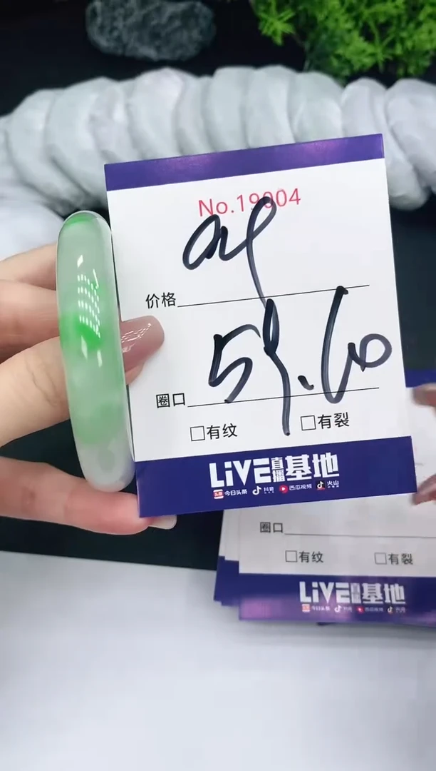 未镶嵌手镯翡翠19004