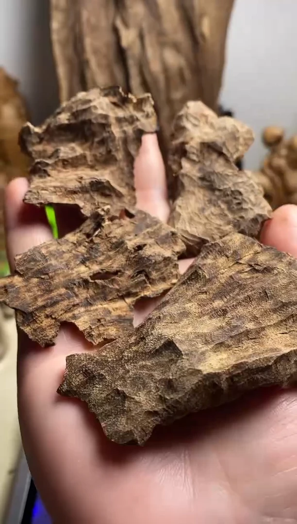 【闪购商品】沉香手把件惠安九分沉原料13克