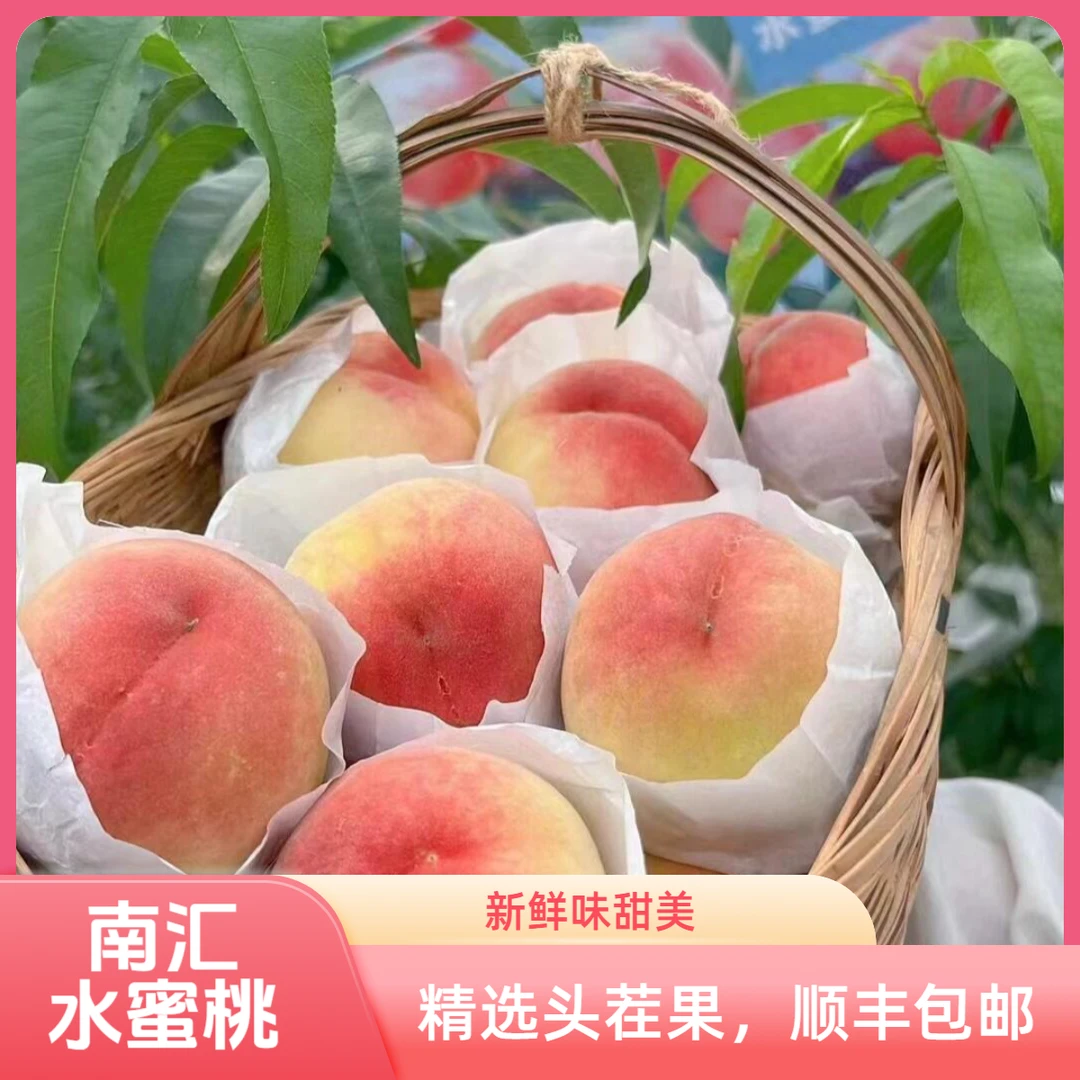 正宗南汇水蜜桃桃子顺丰快递 南汇直发当季现摘新鲜水蜜桃