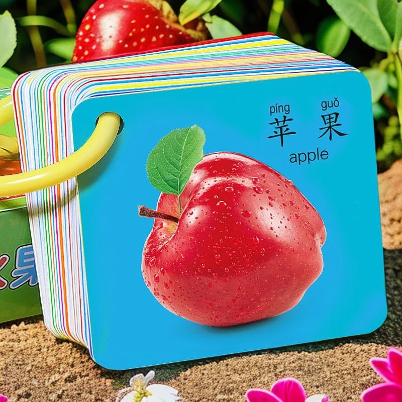 儿童认知卡3-6岁早教防水数学送挂环创意看图识字教具玩具撕不烂v