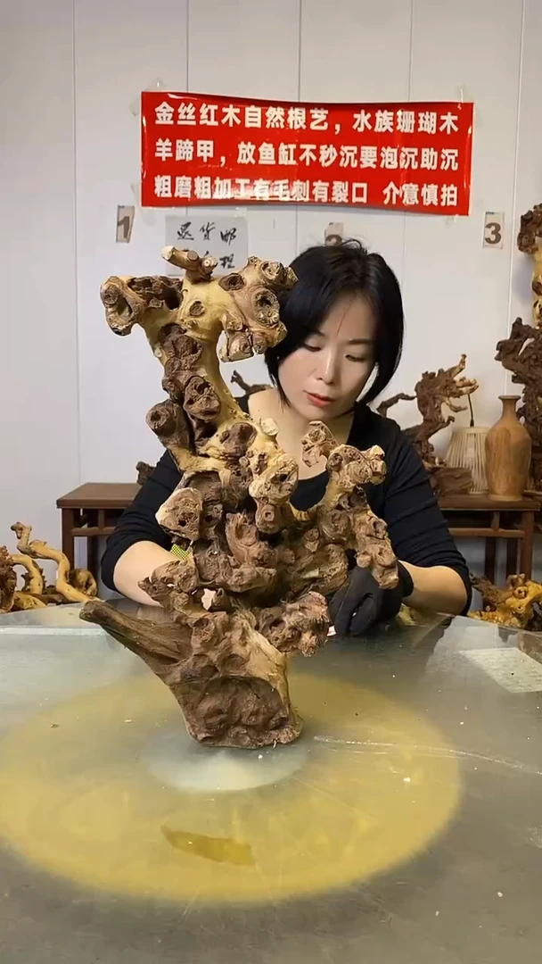香榧木雲*金丝红木 羊蹄甲