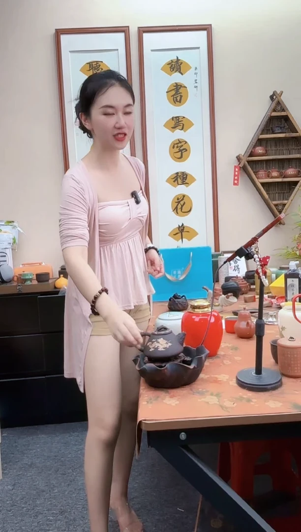 紫砂壶变色茶壶（不带茶盘）