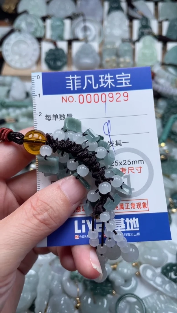 翡翠未镶嵌颈饰00..0929