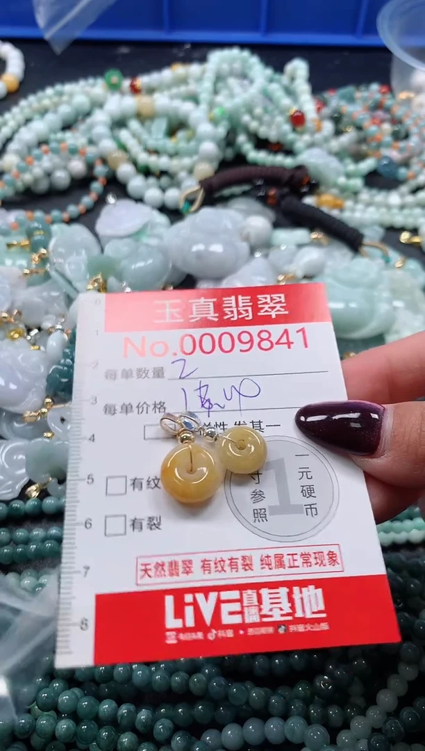 吊坠(不含链)未镶嵌翡翠9841
