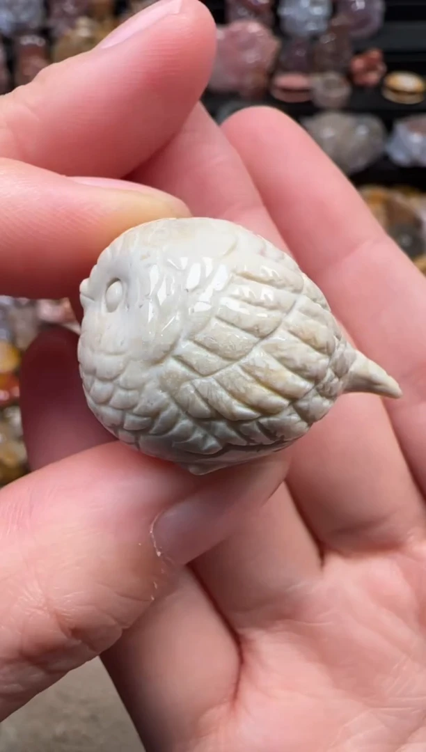 颈饰未镶嵌硅化珊瑚（珊瑚玉）477