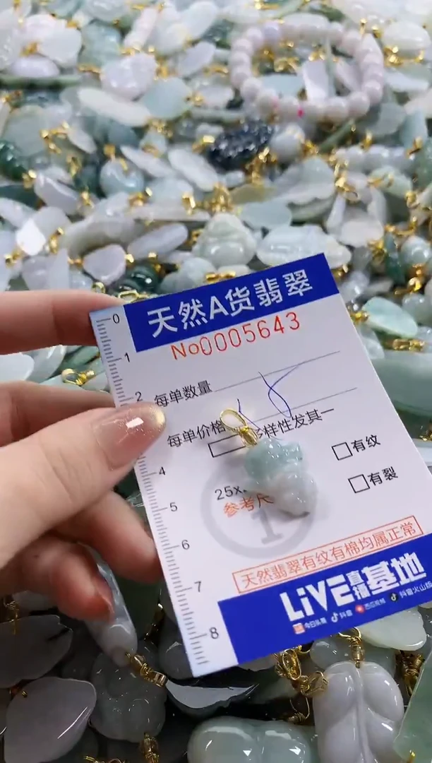 颈饰未镶嵌翡翠天然A货翡翠