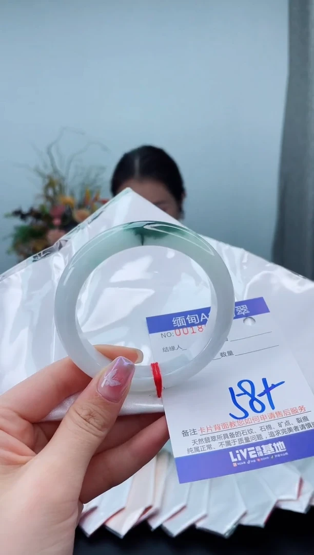 未镶嵌手镯翡翠2