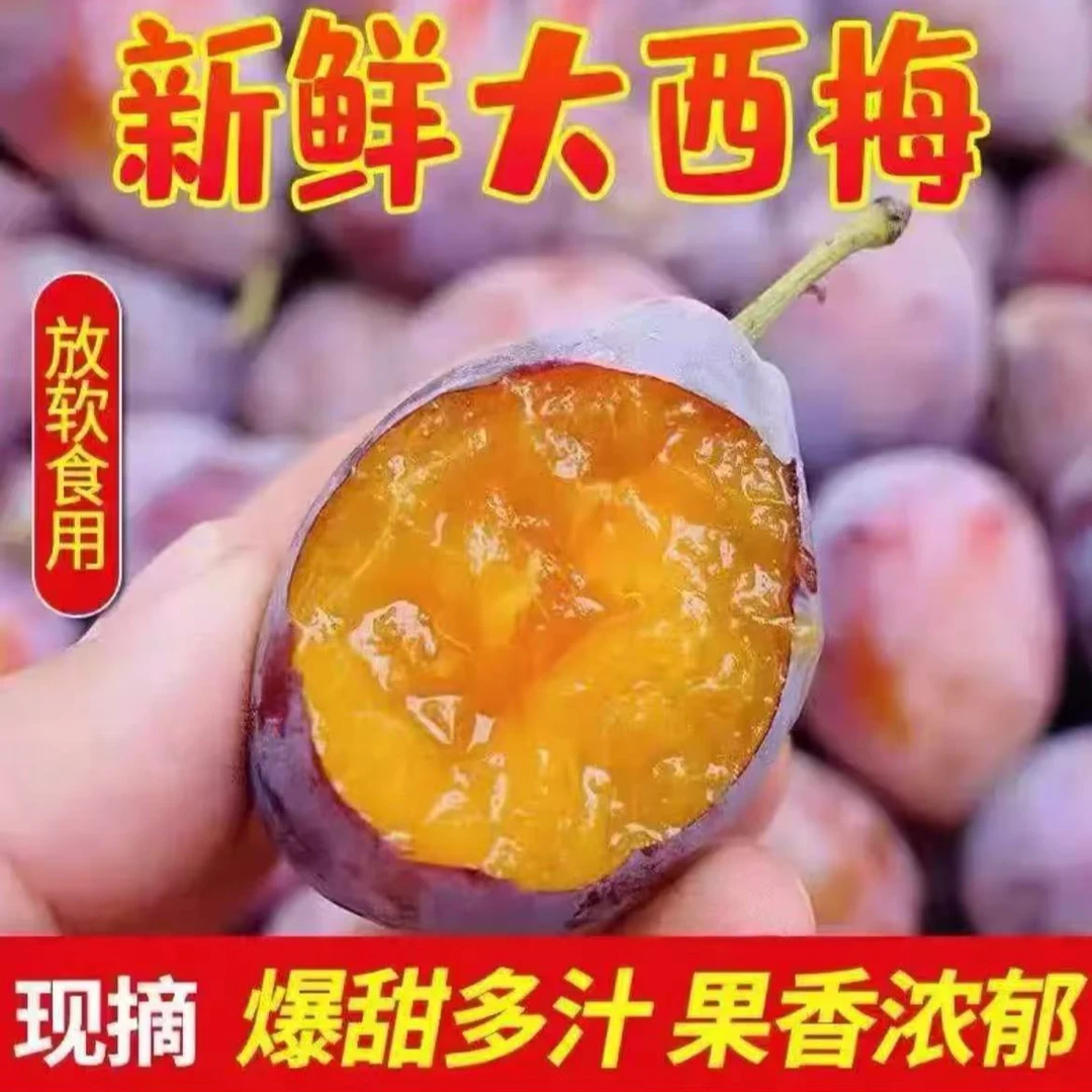 W新鲜正宗现摘头茬西梅香甜多汁当季水果 孕妇也能吃