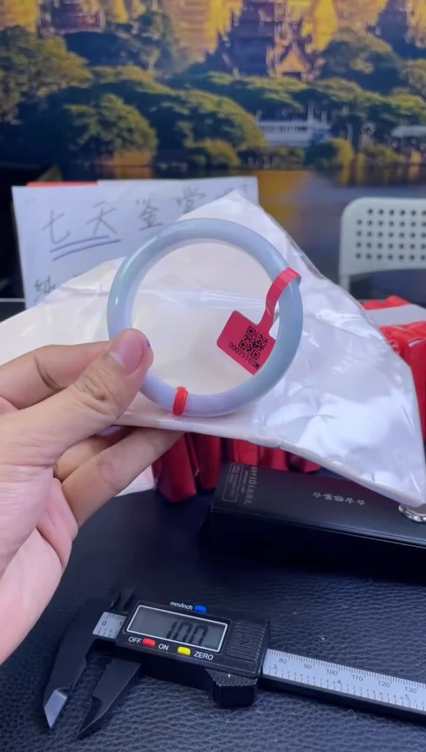 未镶嵌手镯翡翠2