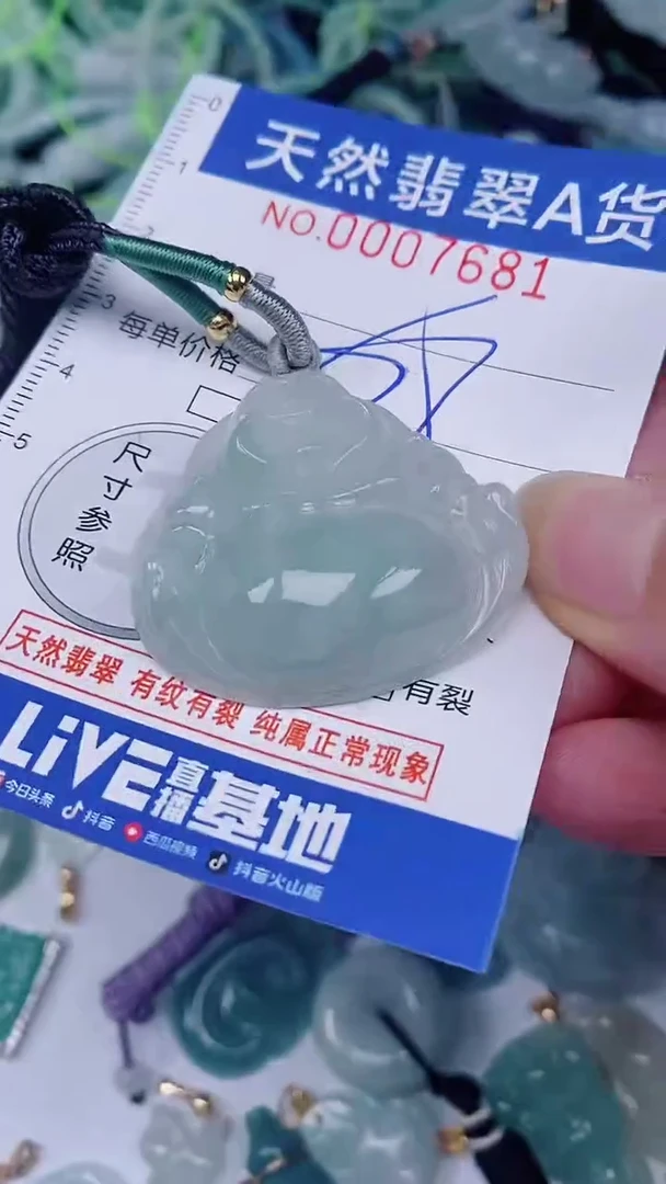 翡翠未镶嵌颈饰00007681