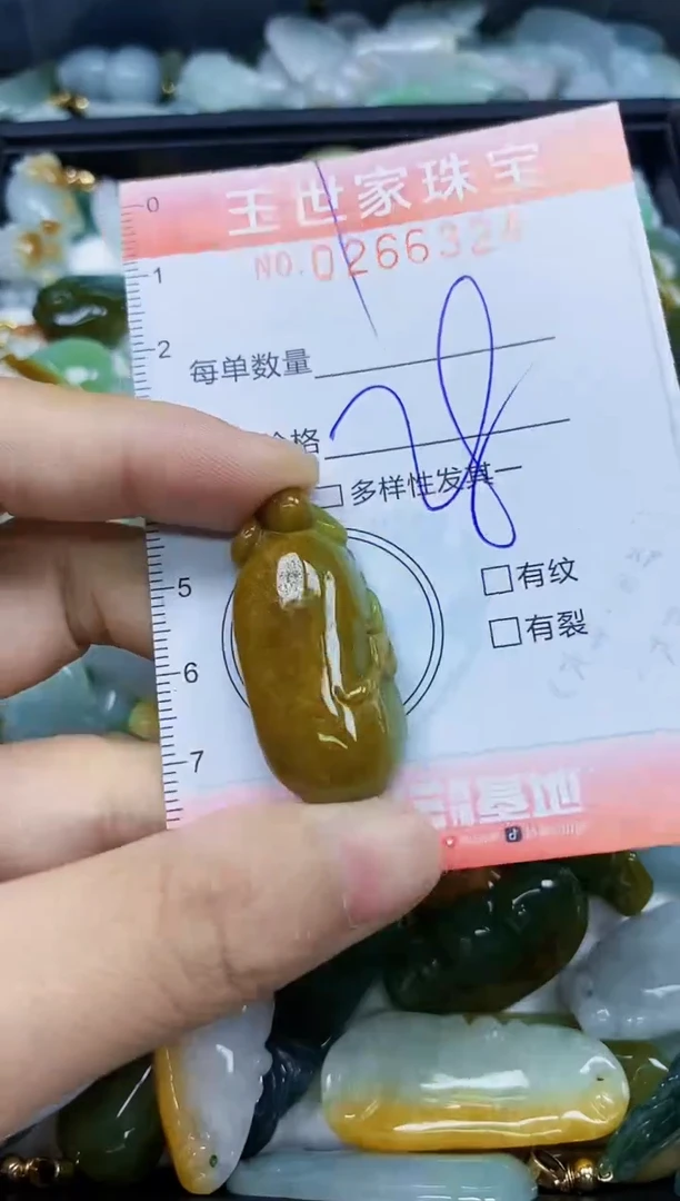 翡翠未镶嵌颈饰闪购0266324