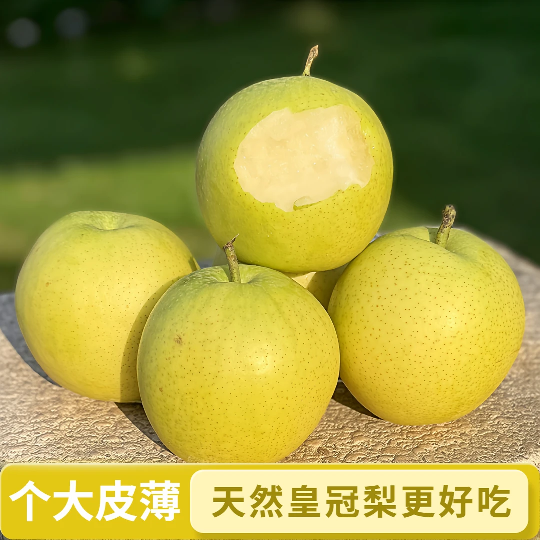正宗天然皇冠梨精选新鲜水果9斤更好吃自然梨子皮薄汁多5斤河北梨