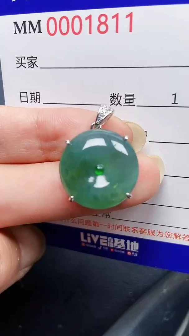 翡翠银S925镶嵌颈饰1811