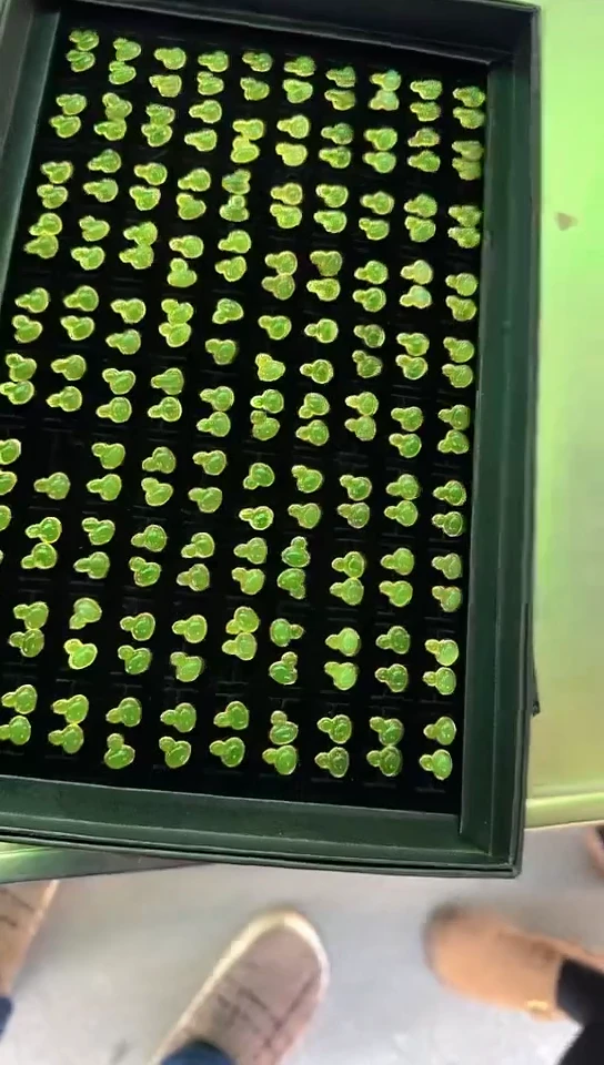 颈饰银S925镀金镶嵌和田玉耳饰多样性发一对