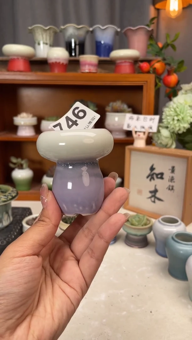 瓷片746微瑕知木小芳花盆编号