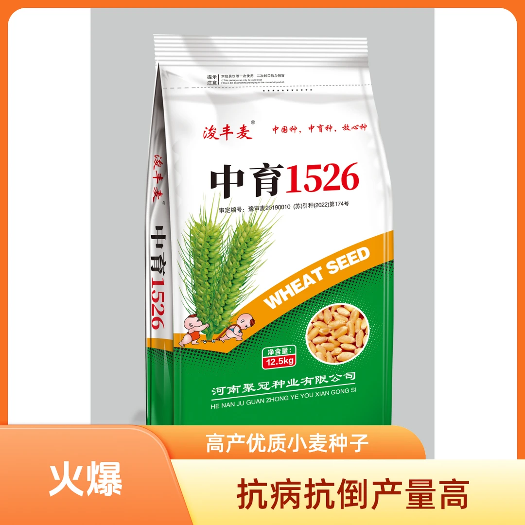 中育1526改良升级版低秆大穗产量高