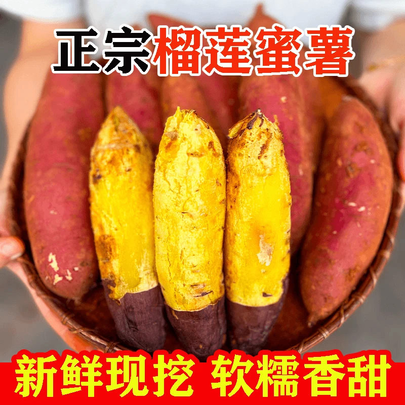 正宗红瑶榴莲蜜薯冰糖心红薯流油地瓜无丝新鲜小香薯红瑶地瓜