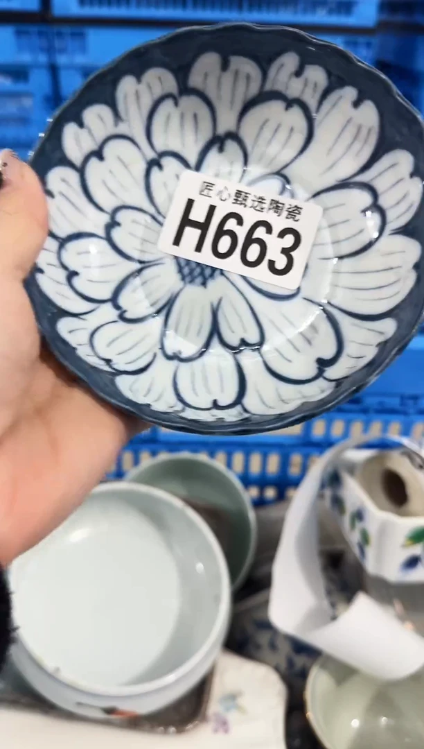 瓷片D***N         H663