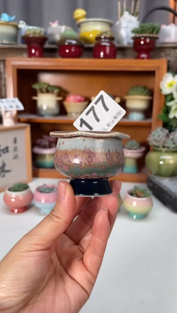 瓷片177小芳直播编号
