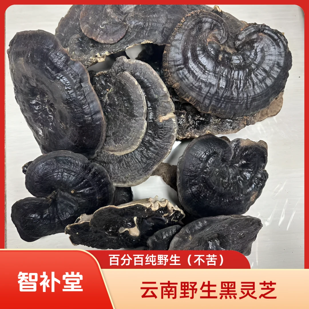 正宗云南野生紫灵芝黑灵芝煲汤汤料泡酒泡茶菌香滋补食材深山不苦