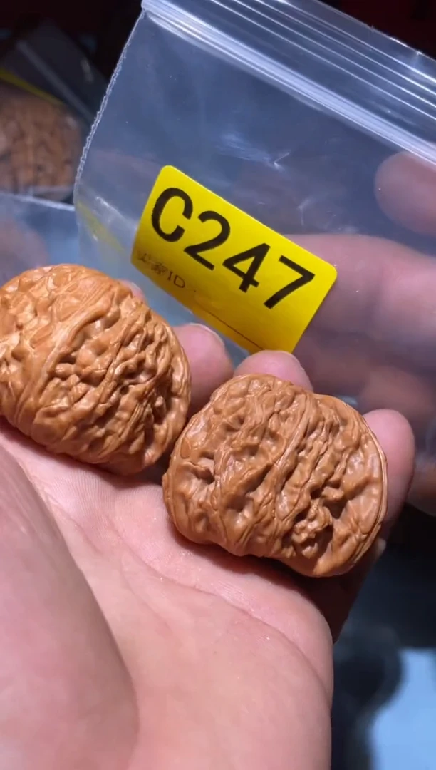 把件文玩核桃白狮子44左右微修打底C247