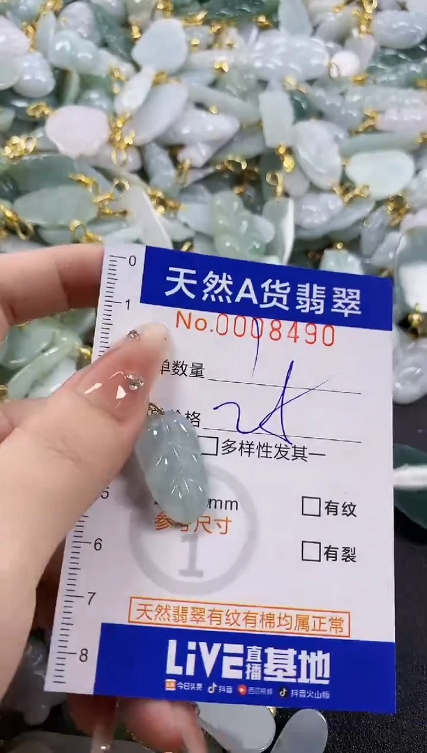 颈饰未镶嵌翡翠天然A货翡翠