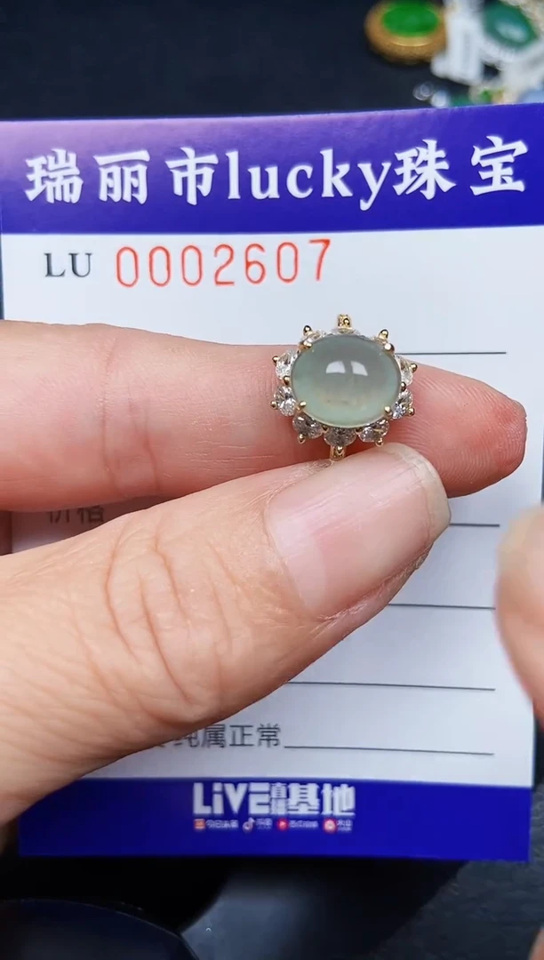 翡翠银S925镶嵌颈饰2607