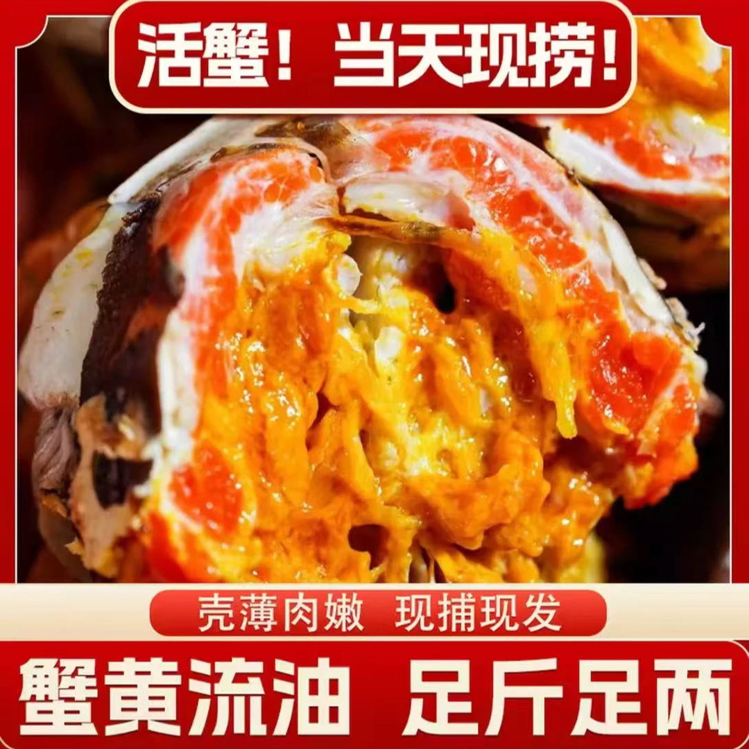 【活蟹】全母蟹5.8-5.5两4/8只(精挑蟹)苏州精品大闸蟹鲜活冷链直发