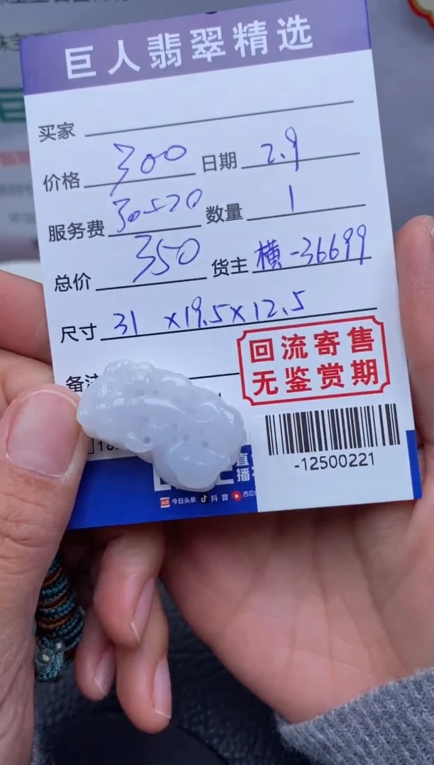 【闪购商品】翡翠颈饰未镶嵌多人-12500221