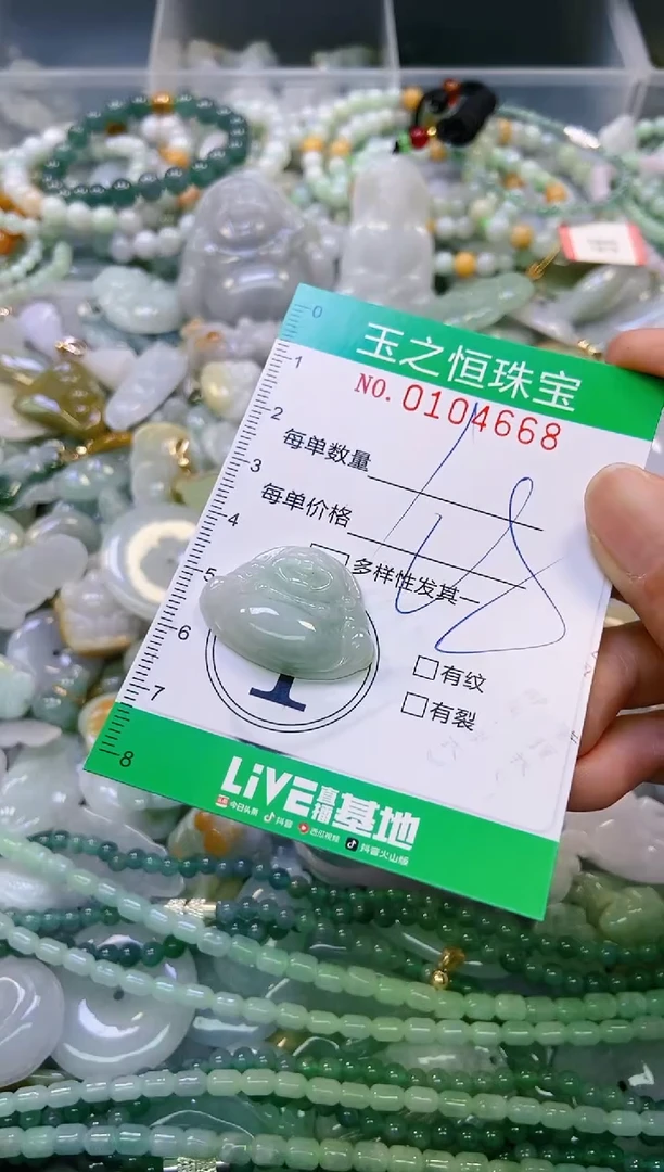 翡翠未镶嵌颈饰闪购0104668
