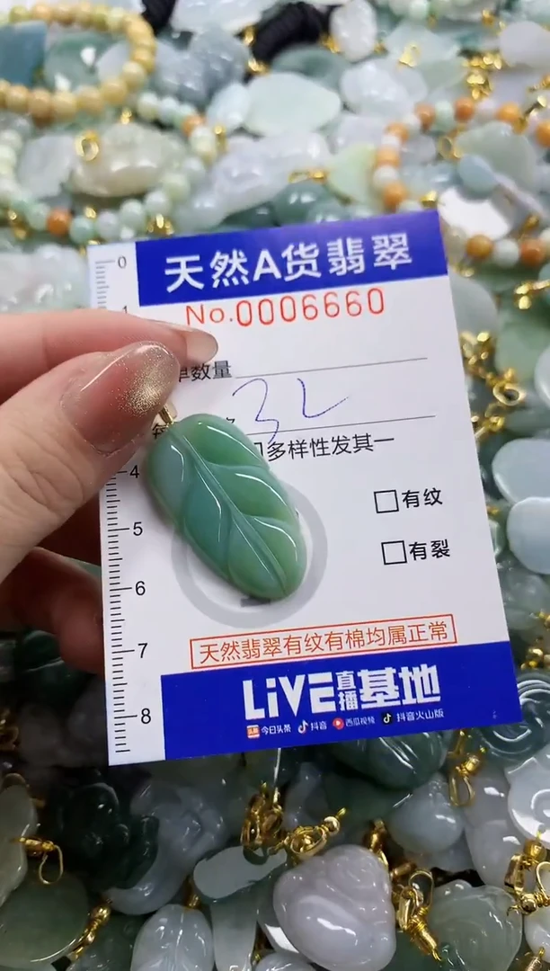 颈饰未镶嵌翡翠天然A货翡翠