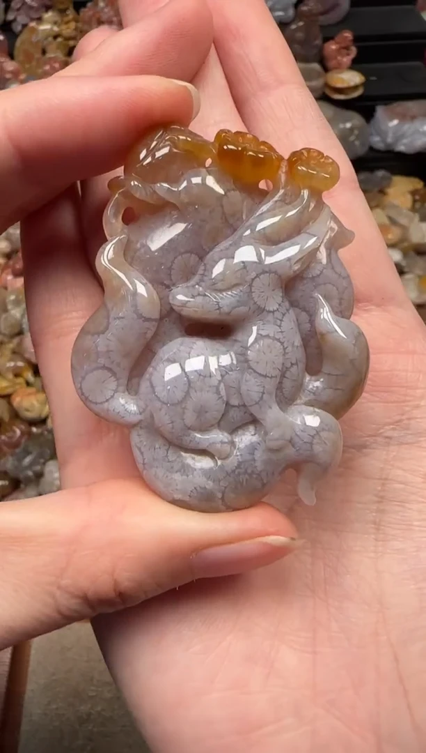 颈饰未镶嵌硅化珊瑚（珊瑚玉）857