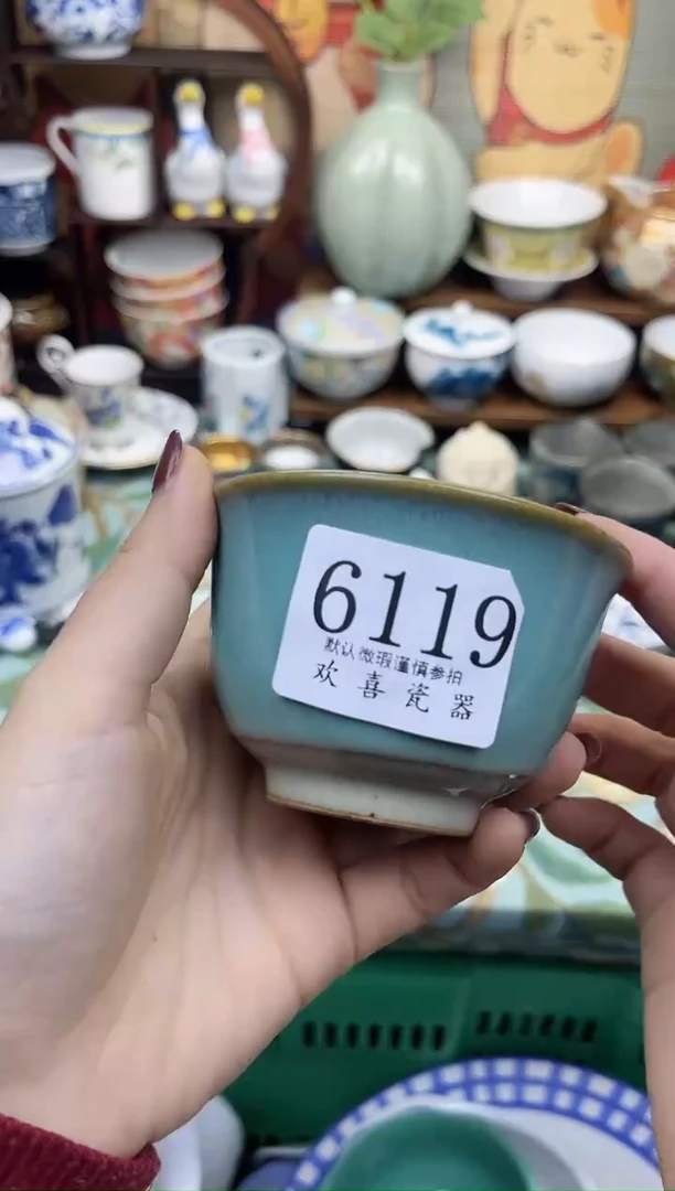 瓷片梅           6119