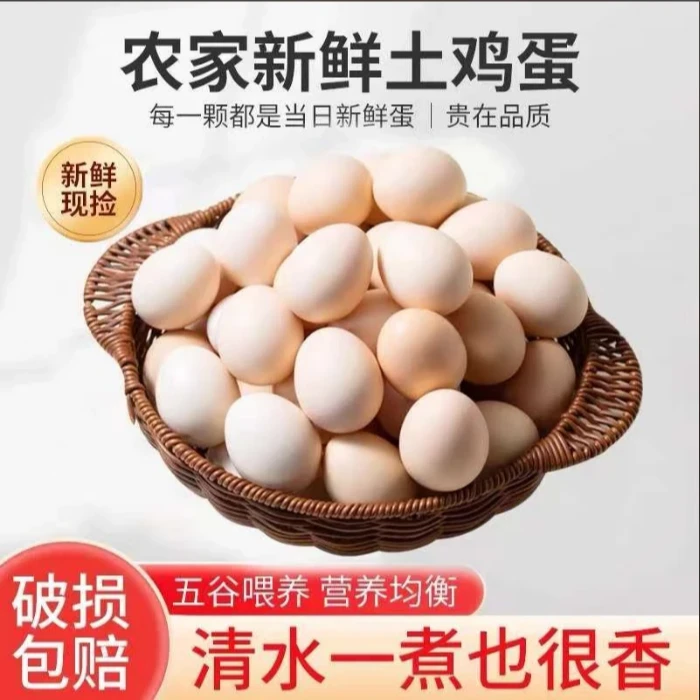 【每日鲜蛋】山林散养土鸡蛋新鲜鸡蛋营养健康50枚