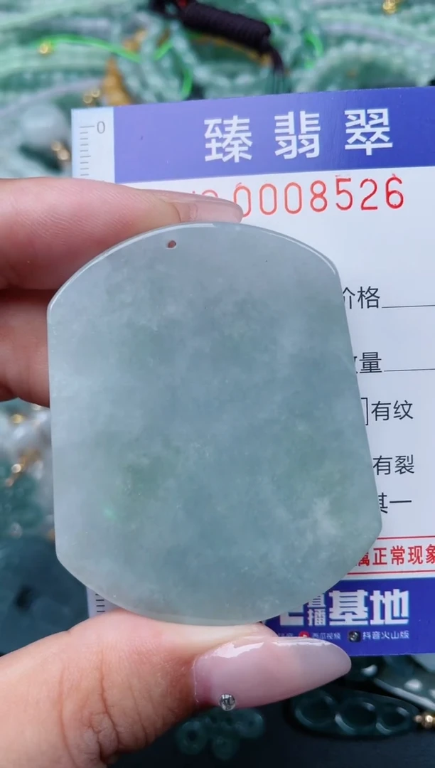 翡翠未镶嵌颈饰.0008526