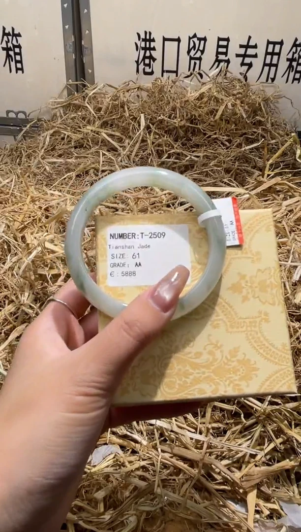 未镶嵌手镯石英质玉T2509HU