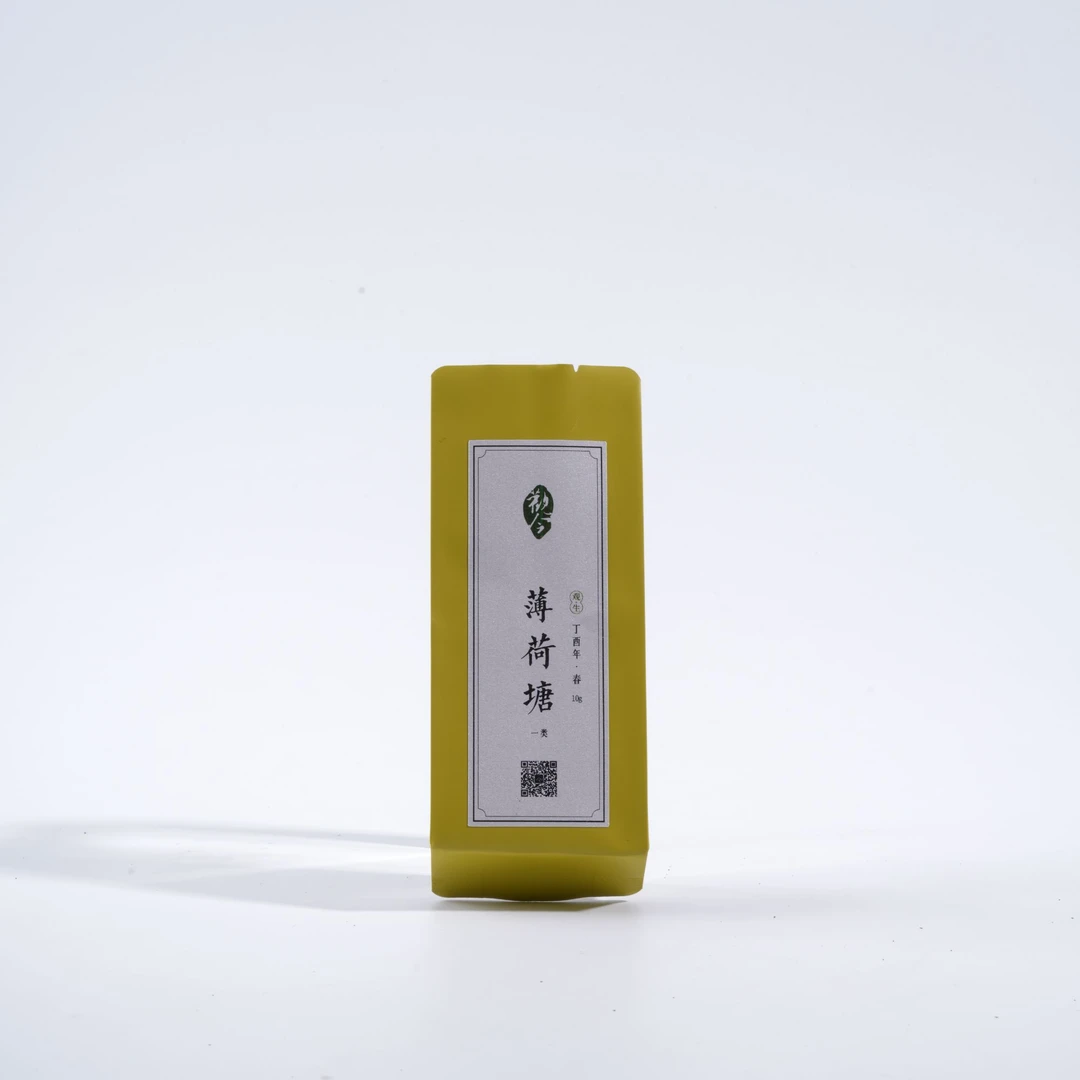 觀今【2017年春 薄荷塘 一类】普洱生茶 10克品鉴装